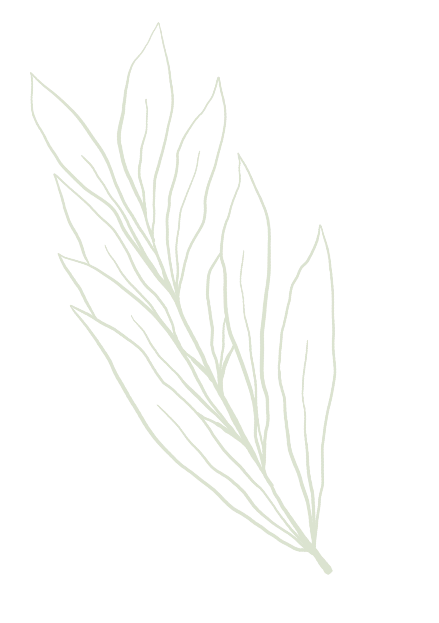 floral